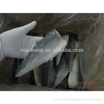 IQF Hot Sale Quality Whole Block Mackerel Fillet